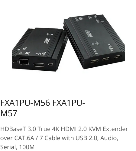 Screenshot 2023-08-11 at 16-38-12 The Liu's X Rextron.png